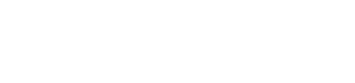 The University of North Carolina at Chapel Hill